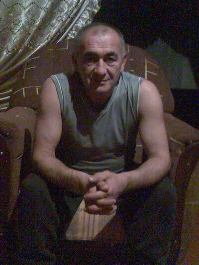  ,   Temur, 66 ,     , c 