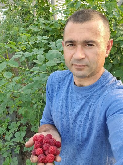  ,   , 40 ,   ,   , 