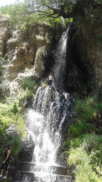  -,   Aharon, 38 ,   ,   , c 