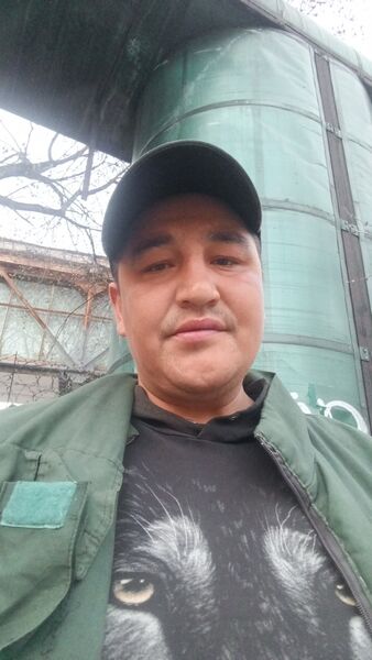  ,   Alexander, 33 ,   ,   