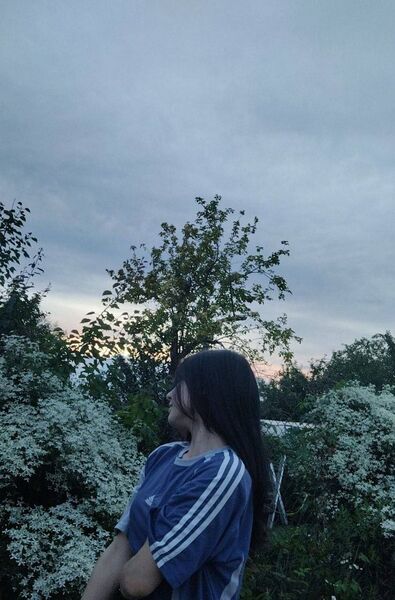  -,   , 27 ,   ,   