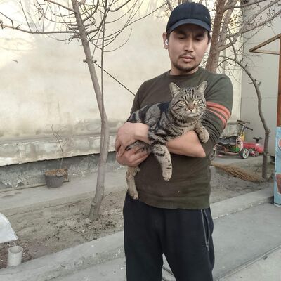  ,   , 32 ,   ,   , c , 