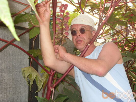  ,   Kikimon, 62 ,  