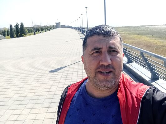  ,   Telfon, 43 ,   ,   