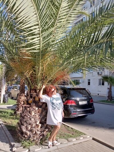  ,   Amina, 68 ,   ,   , c 