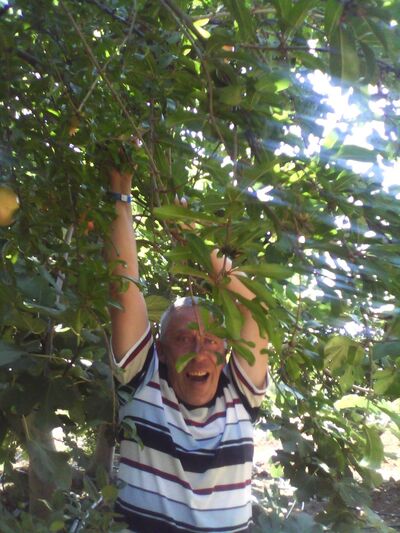  ,   Sharapov58, 66 ,  