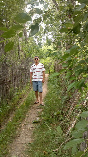  ,   Maksat, 35 ,   ,   , c 