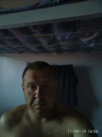 37881170  , 48 ,    