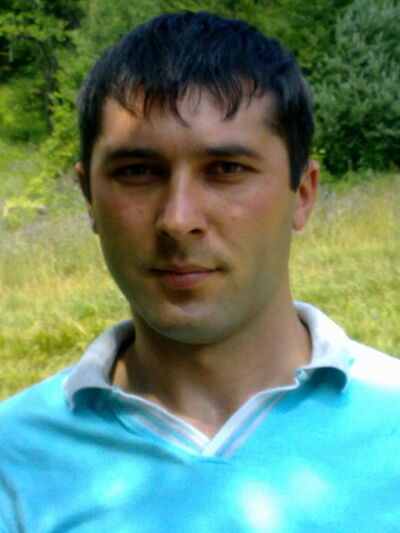 ,   Garrii, 41 ,  