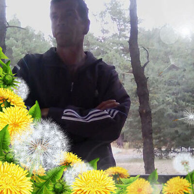  ,   , 52 ,   ,   