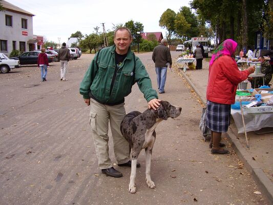  ,   Andy, 62 ,   ,   , c 