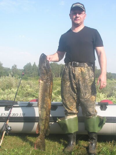  ,   Dimka, 50 ,   ,   , c 