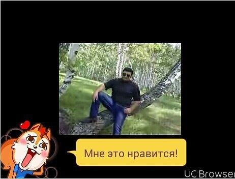  ,   Bek, 33 ,   ,   , c 