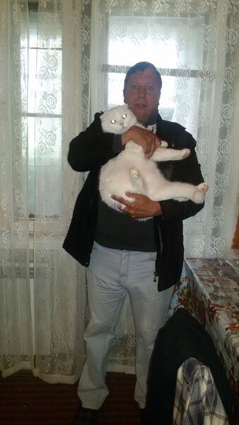   ,   , 50 ,   ,   , c , 