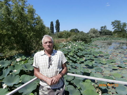  ,   , 71 ,   ,   
