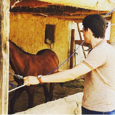  ,   Lion, 33 ,   ,   