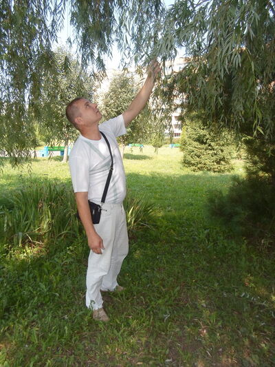  ,   , 53 ,   