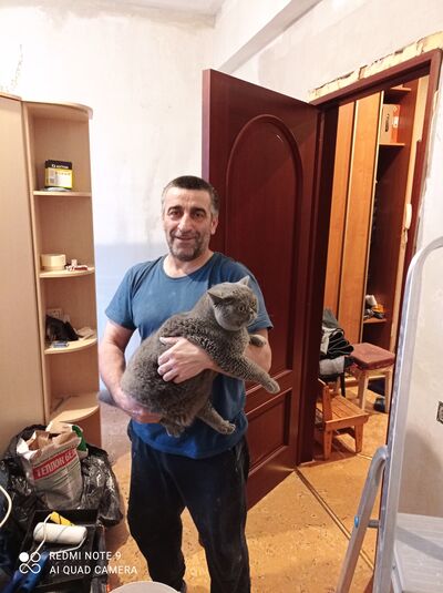  ,   , 51 ,  