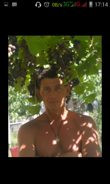  ,   , 55 ,   