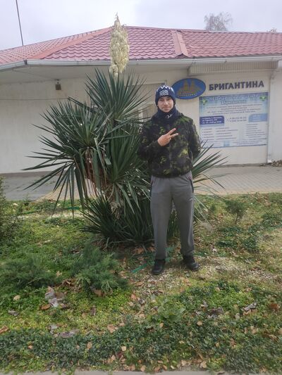  ,   Vasy, 29 ,   ,   