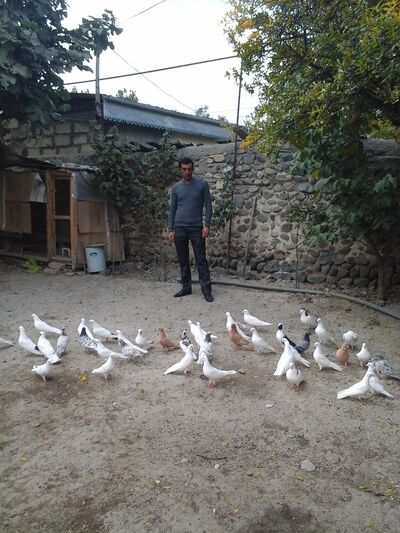  ,   Seymur, 45 ,   ,   , c 