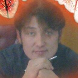  ,   , 46 ,   ,   , c 