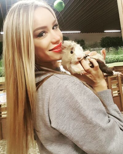  --,   , 29 ,   ,   , c 