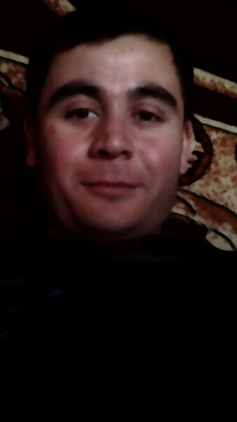  ,   Damir, 33 ,   ,   , c 