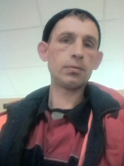  ,   , 41 ,   