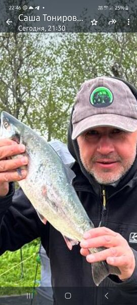  ,   Alexey, 49 ,     , c , 