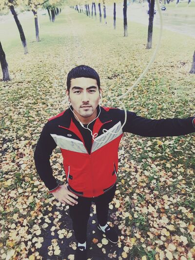  ,   , 29 ,     , c , 