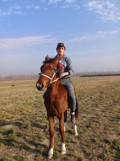  ,   KHABIB, 31 ,   ,   , c 