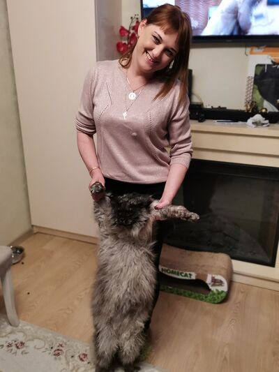 -,   , 43 ,   