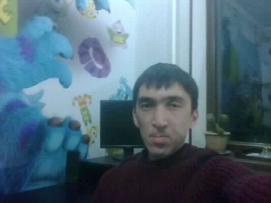  -,   , 38 ,   