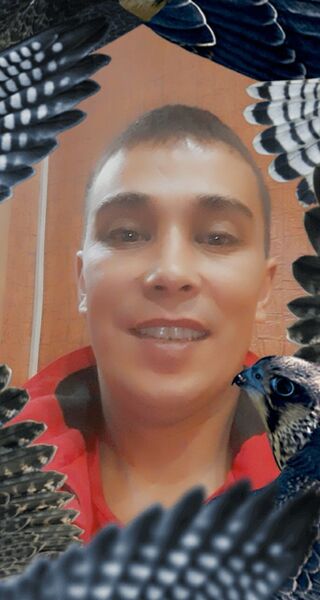  ,   , 41 ,   ,   