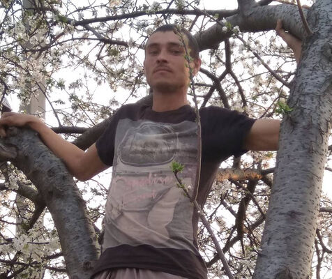  ,   , 37 ,   ,   