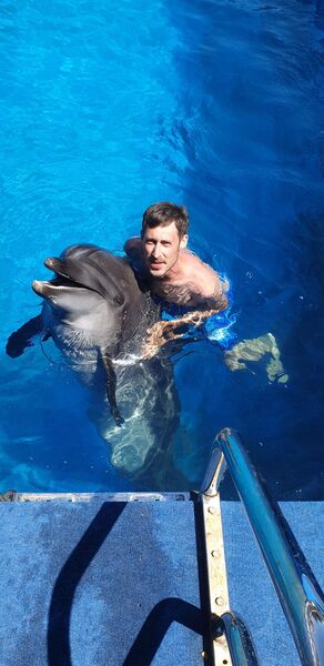 ���������� ������, ���� ������� ������, 38 ���, ������������ ��� ������, ����� � ���������, c�������� ���������, ���������