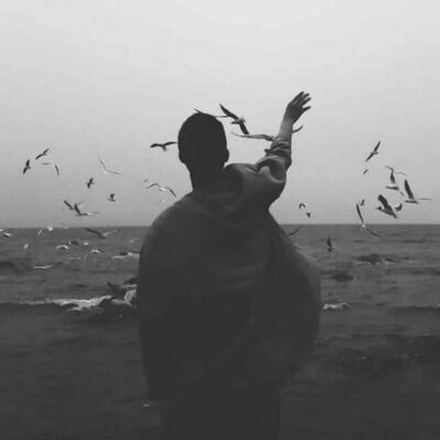  ,   Sergo, 45 ,   ,   