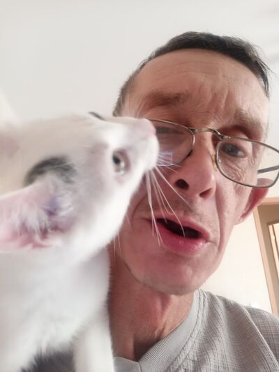  ,   , 52 ,   c , 