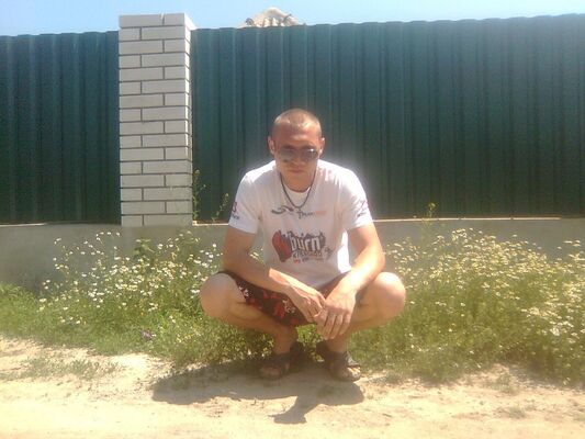  -,   , 33 ,  