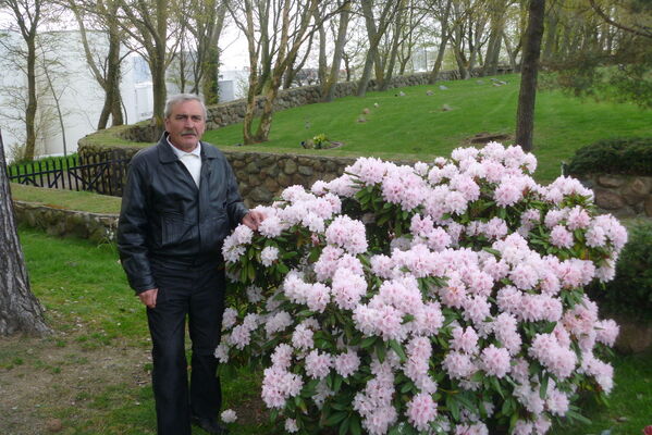  ,   , 68 ,   