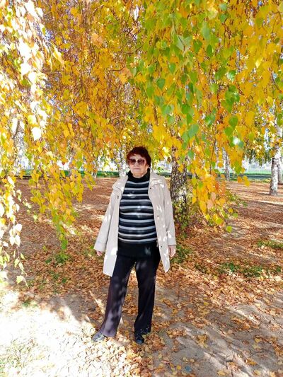  -,   , 65 ,   ,   , c 