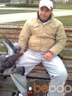  ,   , 43 ,   