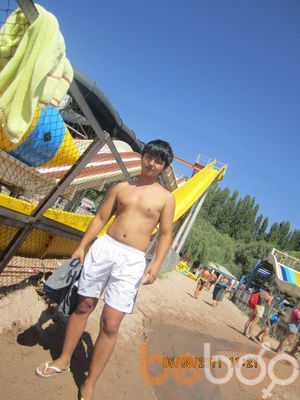  ,   Nur, 33 ,   