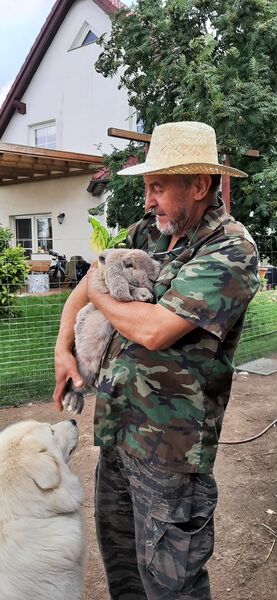  Bernau,   Wlad, 66 ,  