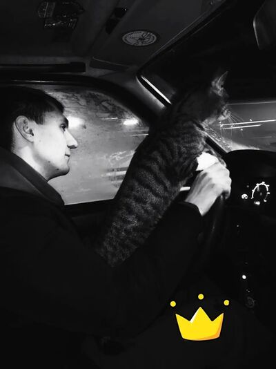  ,   Arkady, 28 ,   ,   