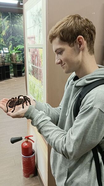  -,   , 21 ,   ,   , c 