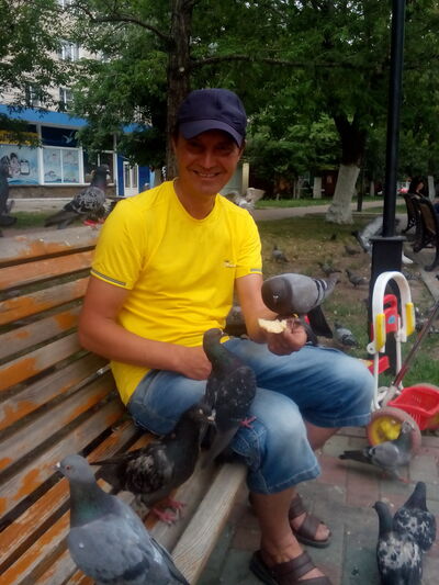  -,    , 53 ,   c 