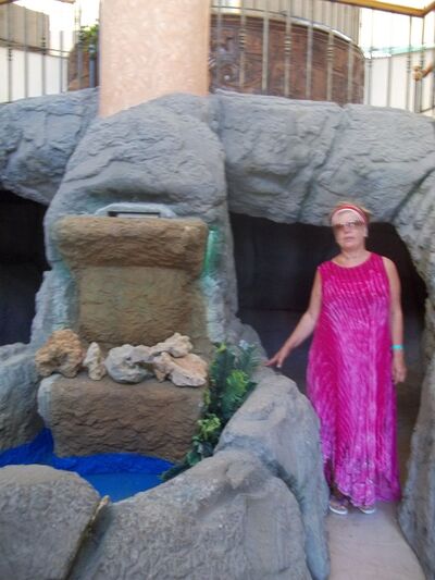  ,   Vfhbyf, 57 ,   ,   