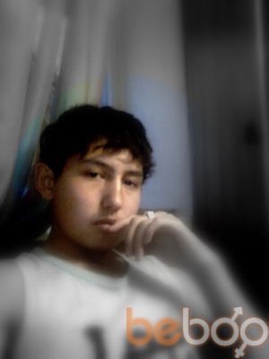 ,   Sexsi, 31 ,     , c 